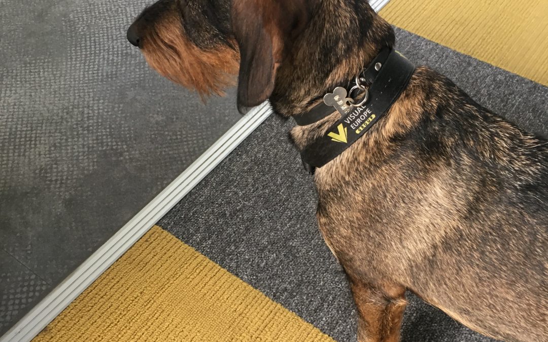 IMG_6345logo-1080x675