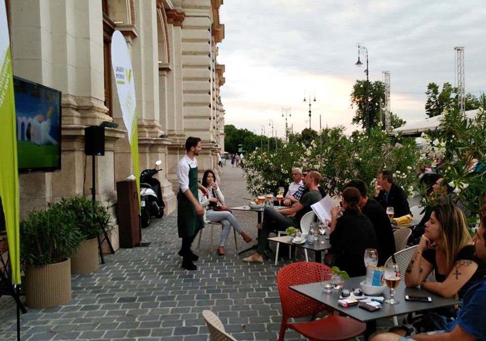 35398312_2066779696903760_2700269578495197184_n