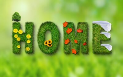 MITŐL LEHET ZÖLD AZ OTTHONUNK?