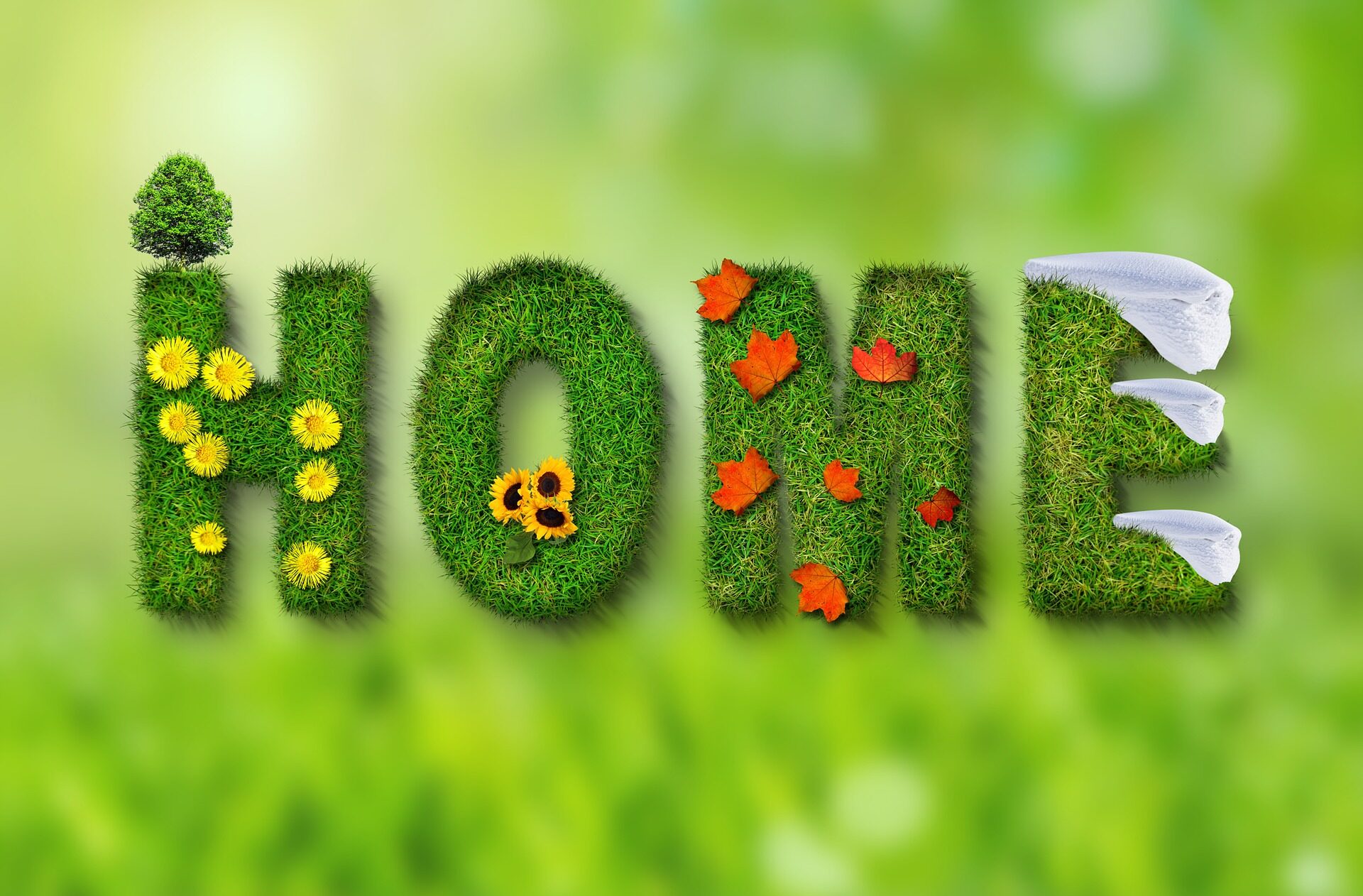 MITŐL LEHET ZÖLD AZ OTTHONUNK?